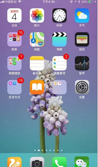 在苹果手机中给软件授信的具体方法介绍