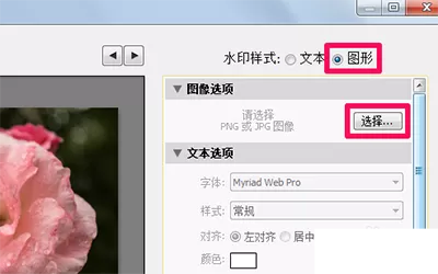 在Lightroom中实行添加水印的具体操作
