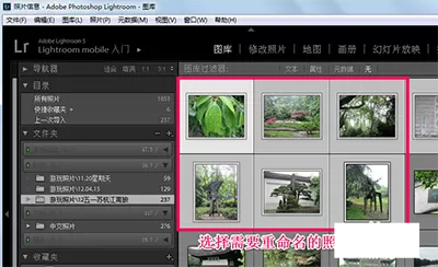 在lightroom中批量重命名照片的具体操作