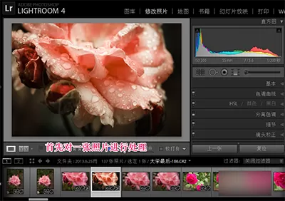在Lightroom中进行批量处理的具体操作