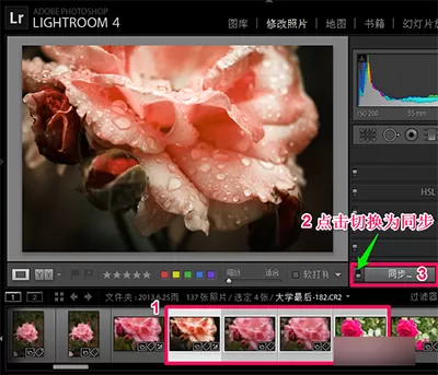 在Lightroom中进行批量处理的具体操作