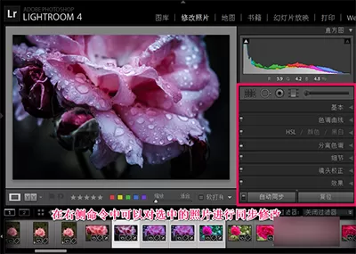 在Lightroom中进行批量处理的具体操作