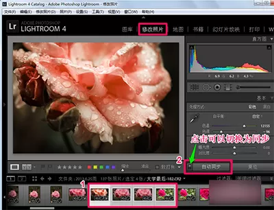 在Lightroom中进行批量处理的具体操作