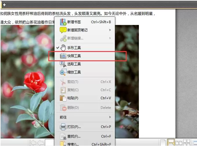 在迅捷PDF编辑器中使用快照功能的图文解析