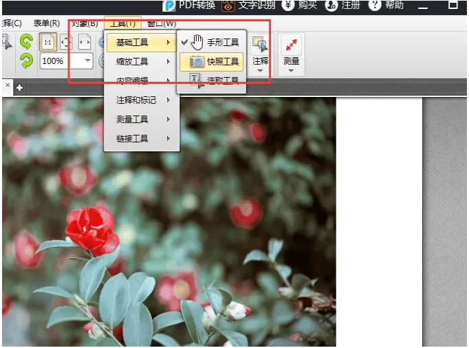 在迅捷PDF编辑器中使用快照功能的图文解析