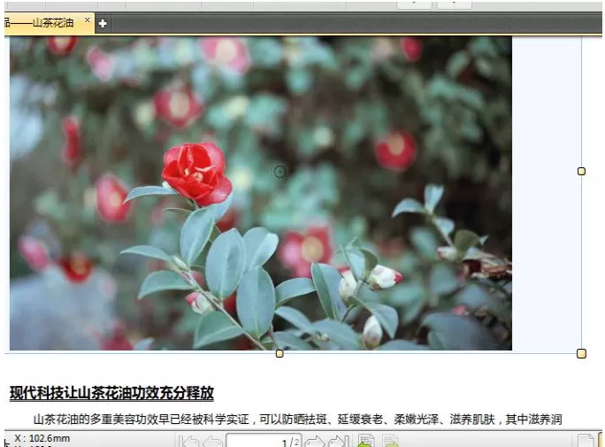 在迅捷PDF编辑器中使用快照功能的图文解析
