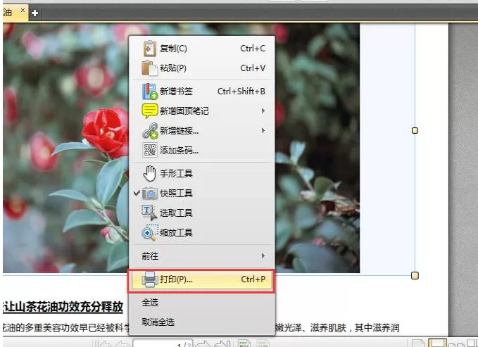在迅捷PDF编辑器中使用快照功能的图文解析