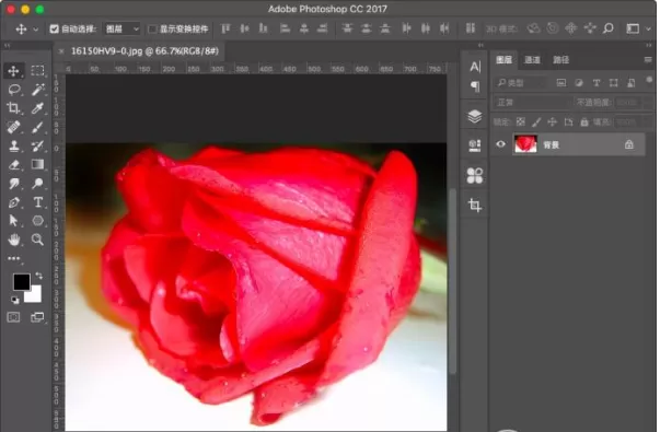 在Photoshop中更换图片小区域色彩的图文教程