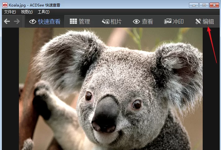 在ACDSee中修整图片尺寸的图文教程