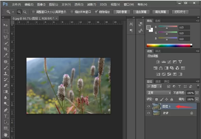 在PS中制作小清新植物图片的图文教程