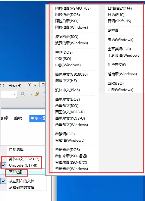 在佐罗浏览器中修改编码格式的具体操作