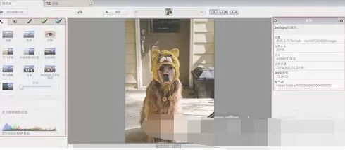 Google Picasa的具体使用方法介绍
