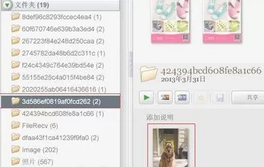 Google Picasa的具体使用方法介绍