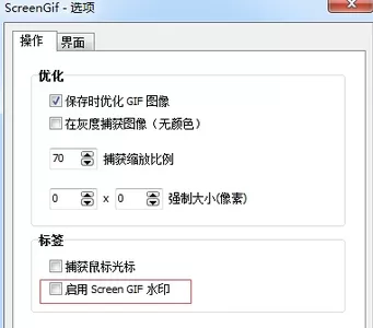 Screen Gif单文件版本的具体使用介绍