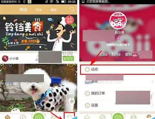 在铃铛宠物app中删除视频的具体操作