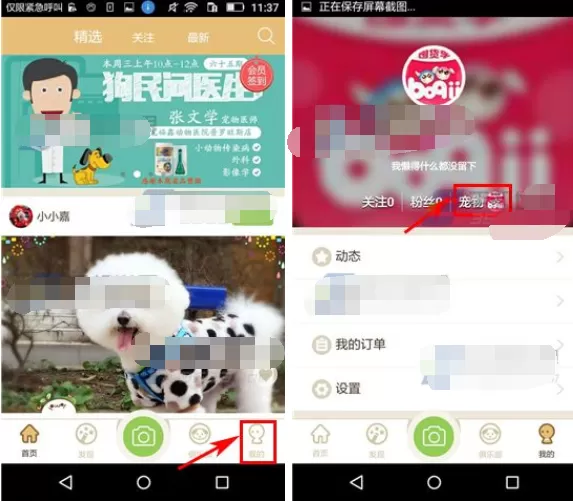 在铃铛宠物APP中添加宠物的具体操作