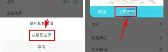 在收留我APP中上传照片的具体操作