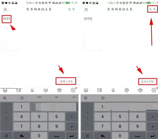 在百度贴吧APP中发布隐私贴的具体操作
