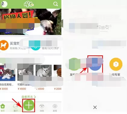 在握爪宠物中发布小视频的图文教程