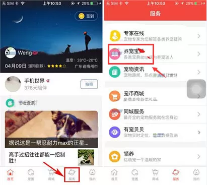 在有宠app中进行记账的具体操作