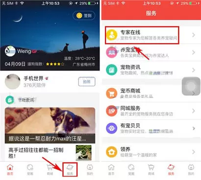 在有宠app中发布求助的具体操作