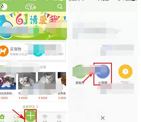在握爪宠物中设置倒计时录制视频的图文教程