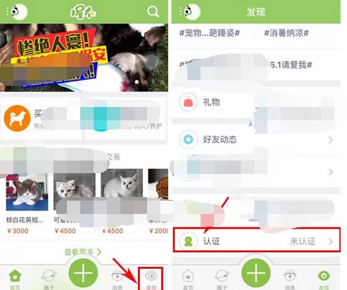 在握爪宠物中申请认证的具体方法介绍