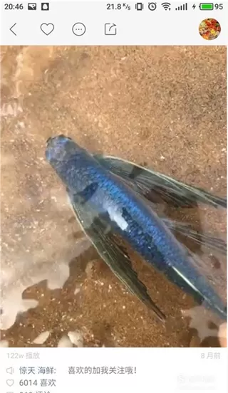快手作品id查询的方法讲解