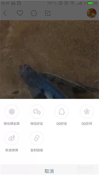 快手作品id查询的方法讲解