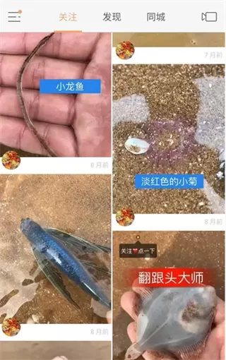 快手作品id查询的方法讲解