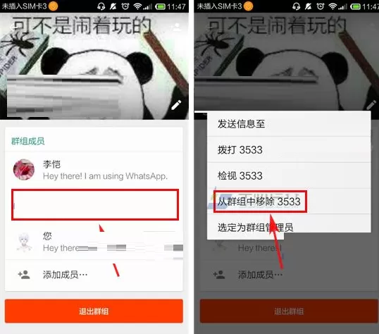 在WhatsApp中移除群组成员的具体操作