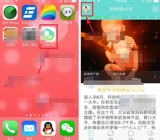 在孕期伴侣APP中修改预产期的具体操作