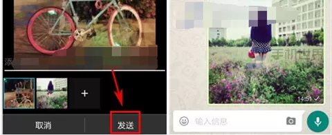 在WhatsApp中发图片的具体操作
