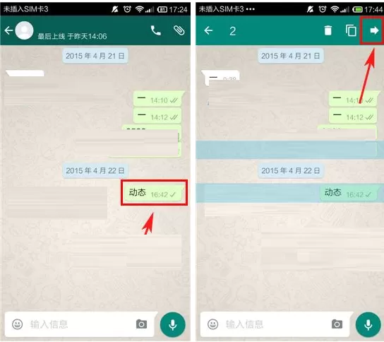 在WhatsApp中转发短信的具体操作