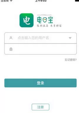 在电e宝APP中缴纳电费的具体操作