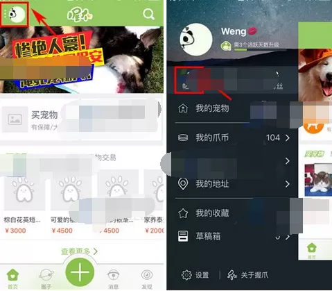在握爪宠物中删除帖子的具体方法介绍