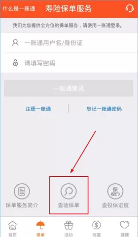 在平安金管家中如何查看保单？