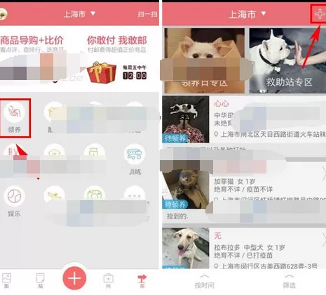 在闻闻窝中发布领养信息的教程讲解