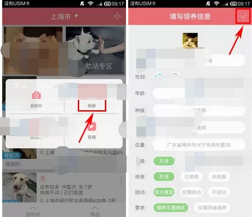 在闻闻窝中发布领养信息的教程讲解