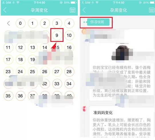 在孕期伴侣APP中查看孕周变化的具体操作