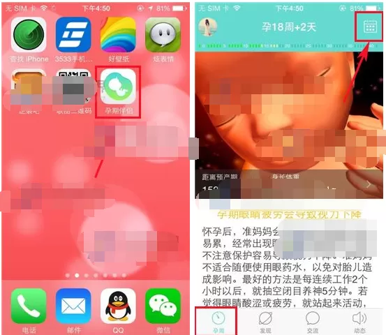 在孕期伴侣APP中查看孕周变化的具体操作