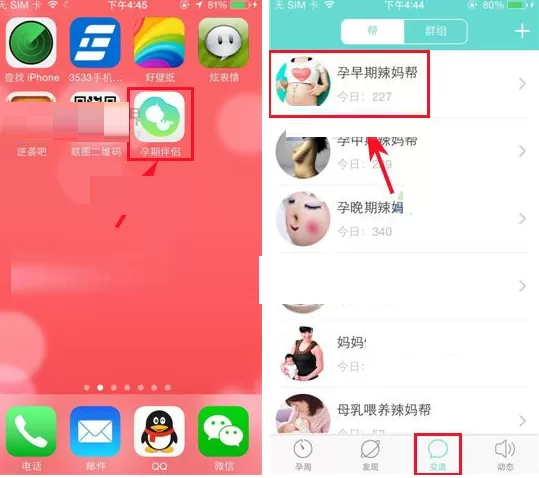 在孕期伴侣APP中发表评论的具体操作