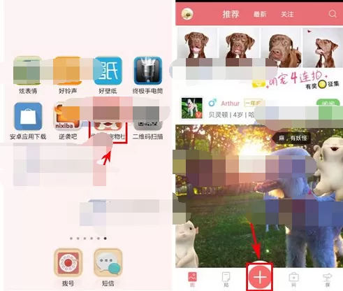在闻闻窝中进行视频上传的具体步骤