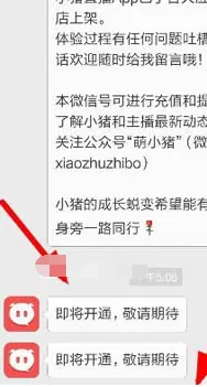在小猪直播软件中提现的具体操作步骤