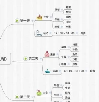 怎么利用xmind制作一套完善的减肥计划书?