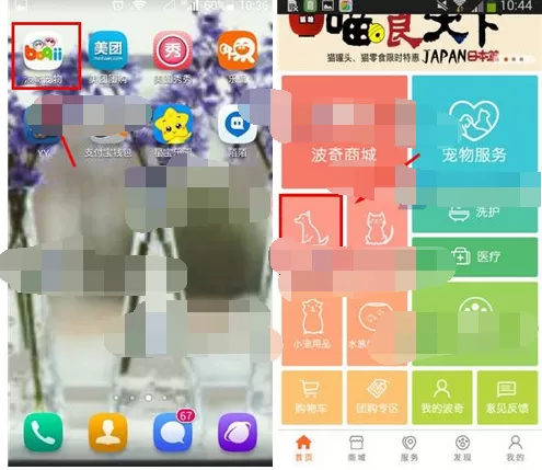 如何在波奇宠物中购买爱宠用品?在波奇宠物中购买爱宠用品的方法