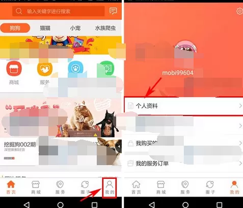 如何在波奇宠物中提现?在波奇宠物中提现的教程