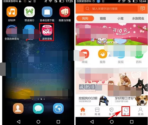 怎么在波奇宠物中私信好友？在波奇宠物中私信好友的教程