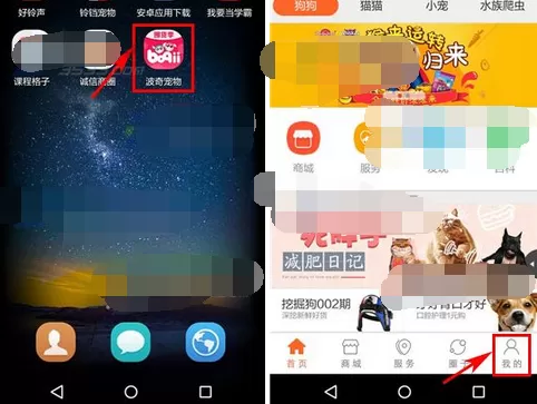 怎么在波奇宠物中关闭消息提醒?在波奇宠物中关闭消息提醒的方法