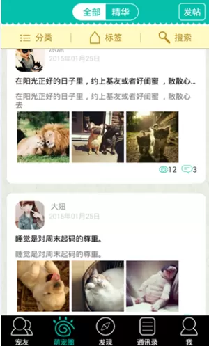 在宠信中如何设置聊天背景？在宠信中设置聊天背景教程